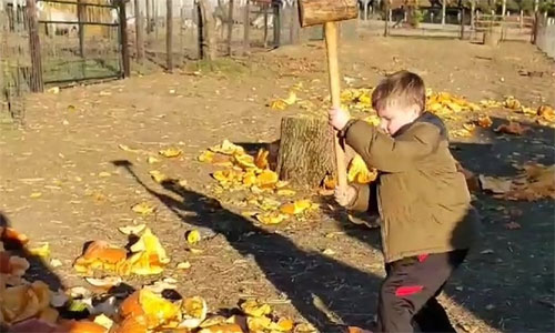 Howell's Pumpkin Smash Howell's Pumpkin Smash