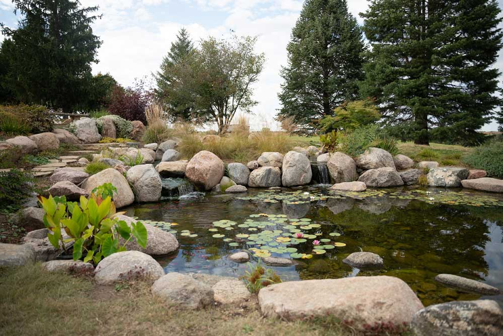 pond at the arboretum