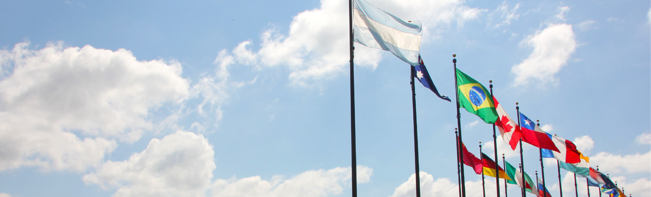 row of flags