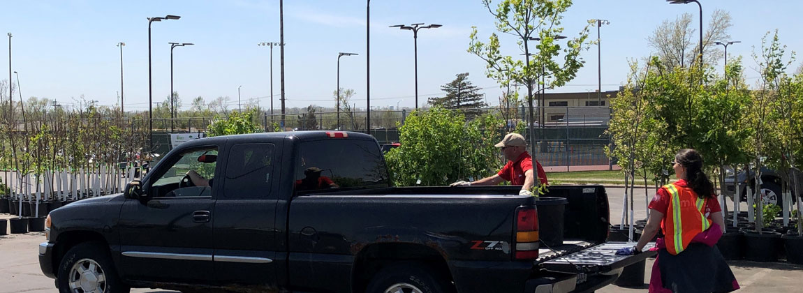 people loading trees into truck