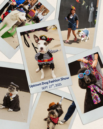 Uptown Dog Fasion Show