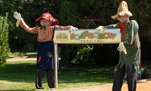 Scarecrow Festival