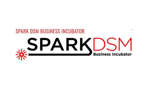 Spark DSM logo