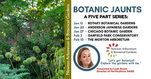Botanic Jaunts Winter Garden Series