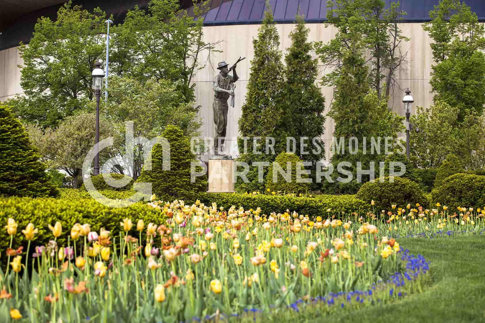 Garden and Tulips DSM