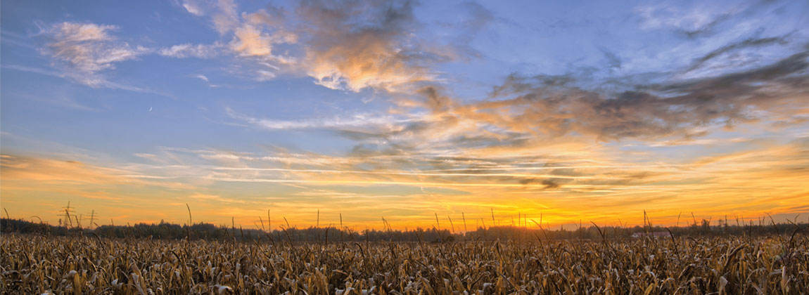 Iowa agriculture