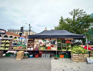 Grade A Gardens tent