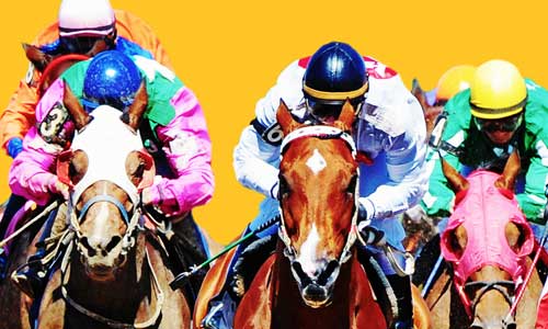 live racing at Prairie Meadows in Altoona