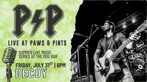 Decoy at Paws & Pints in Des Moines