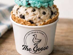 ice cream dish