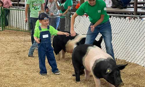 Jasper County Fair