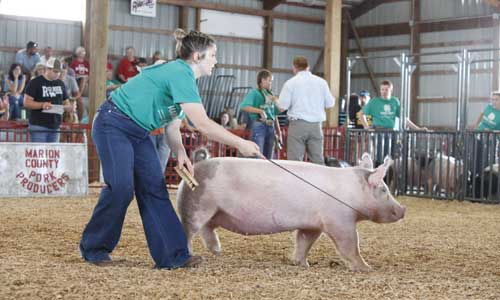 Marion County Fair in Winterset