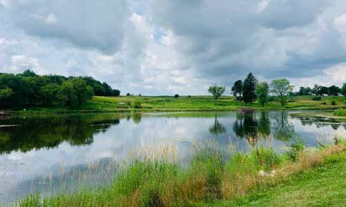 Nature Hike in Michellville