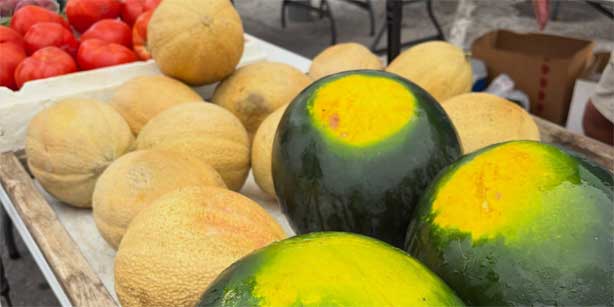 produce at the Downtown Farmers' Market