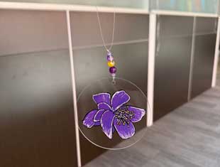 Sun Seeker flower treasure