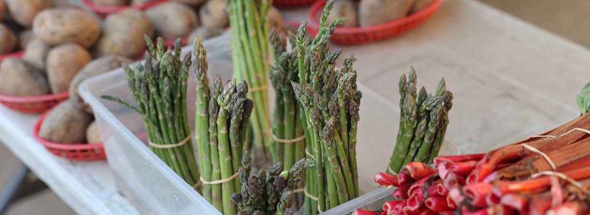 a variety of fresh vegetables for sale