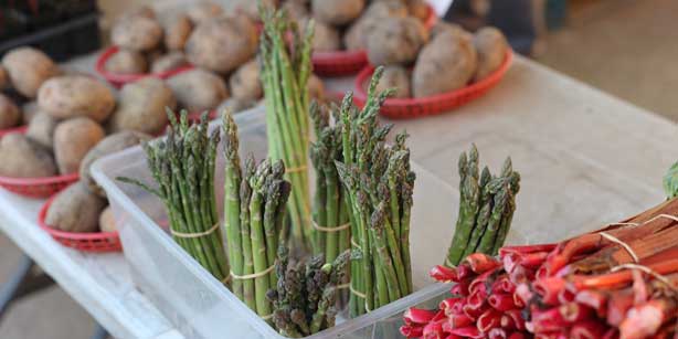 a variety of fresh vegetables for sale