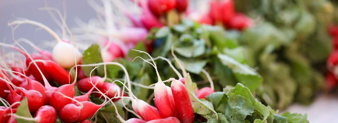 bundles of radishes