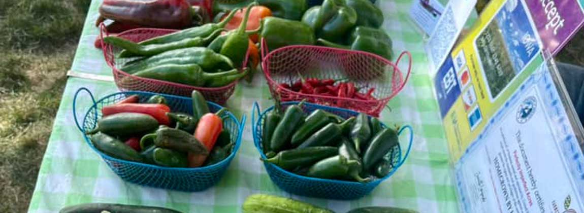 table of vegetables