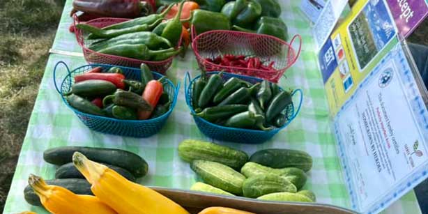 table of vegetables