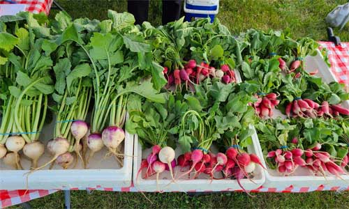 Indianola Farmers' Market