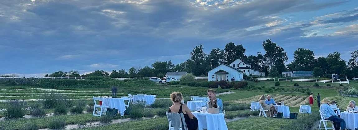 Lavendar Al Fresco Dinner