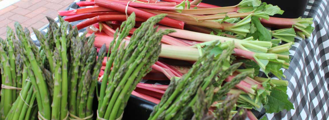 asparagus and rhubarb on a table