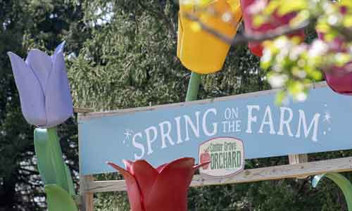 Spring on the Farm