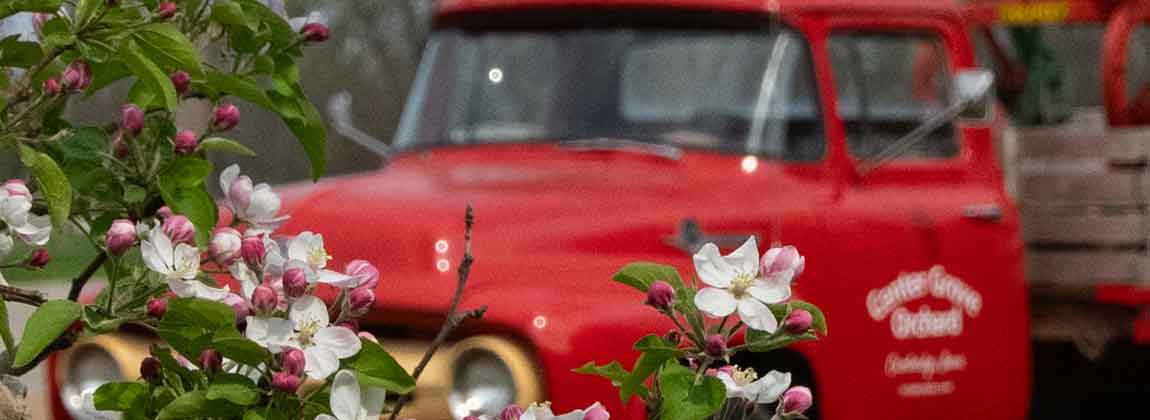a red Center Grove Orchard truck with flowers