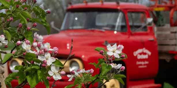 a red Center Grove Orchard truck with flowers
