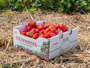 box of strawberries