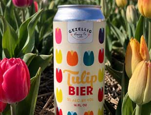 Tulip Bier