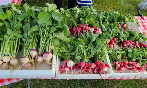 vegetables at Indianola Farmers' Market
