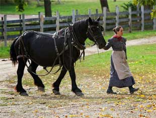 woman and horse walking
