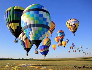 balloons in flight