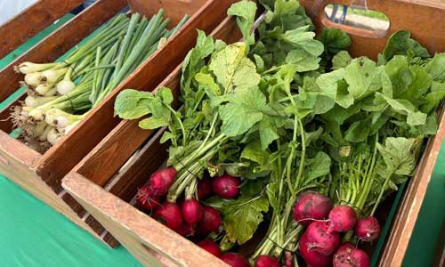 Pleasant Hill Farmers' Market
