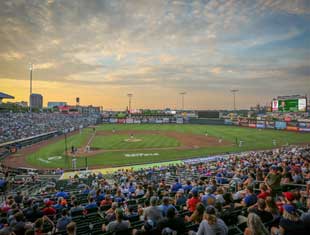 fans at a baseball game