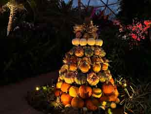 Halloween pumpkin tree