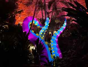 tentacles under the Botanical Garden dome