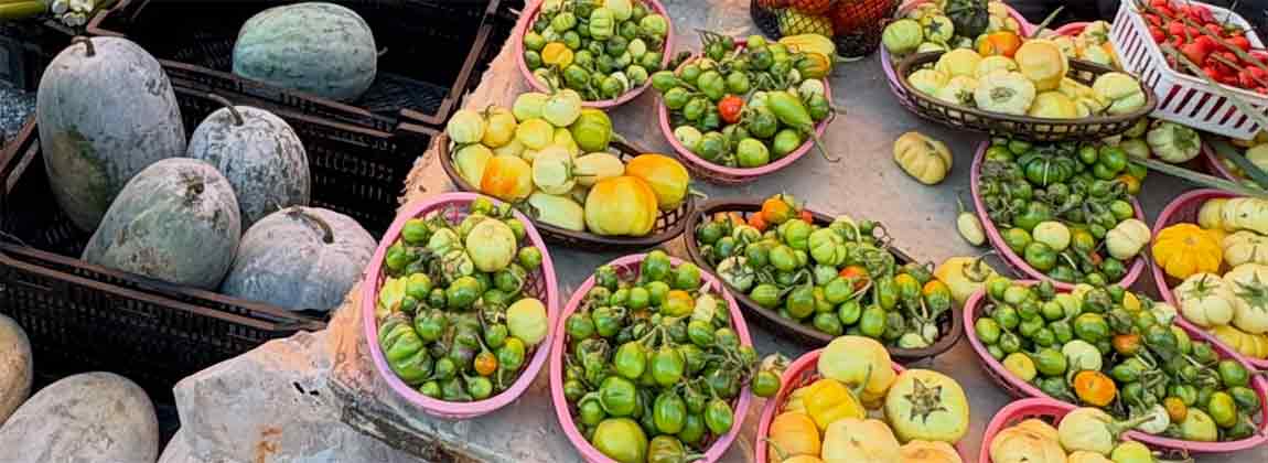 shop the Downtown Farmers' Market
