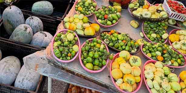 shop the Downtown Farmers' Market