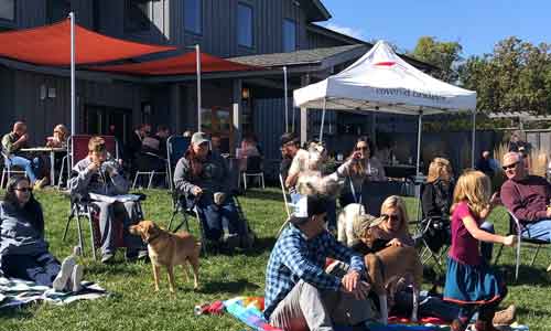 Dog Days at the Winery