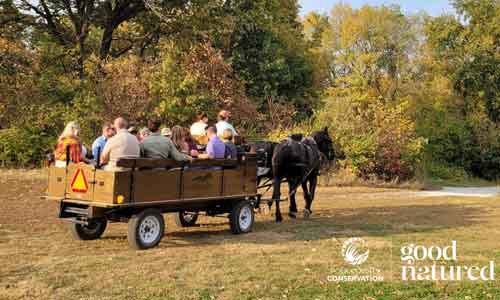 Drafts with Drafts