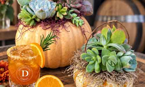 Succulent Pumpking Workshop