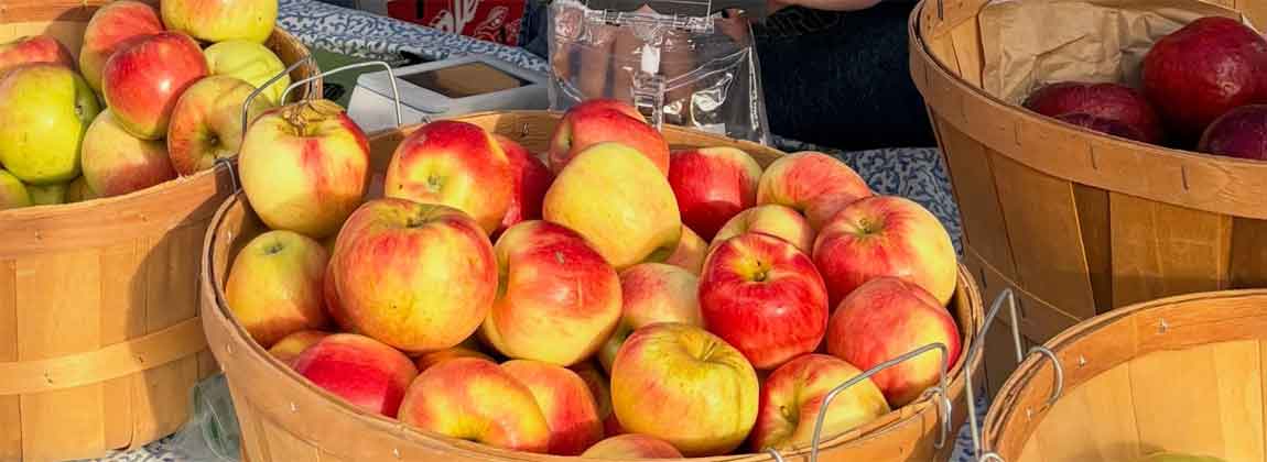 baskets of apples