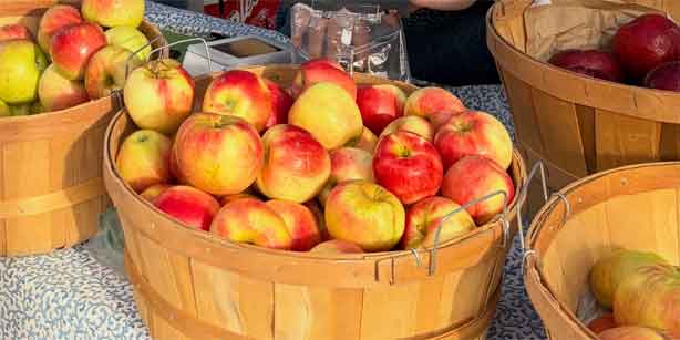baskets of apples