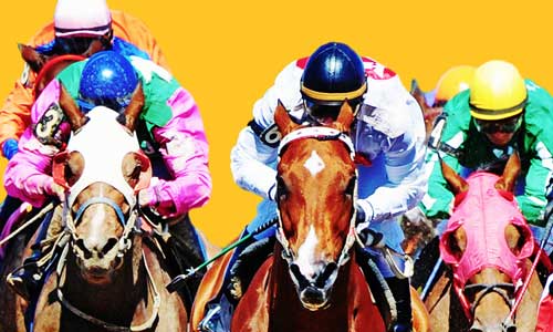 horse racing at Prairie Meadows