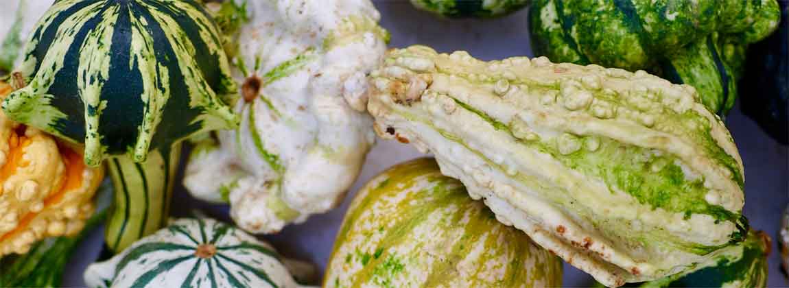 small gourds