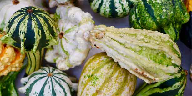 small gourds